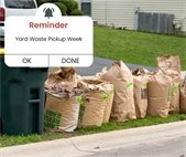 Yard Waste Pickup