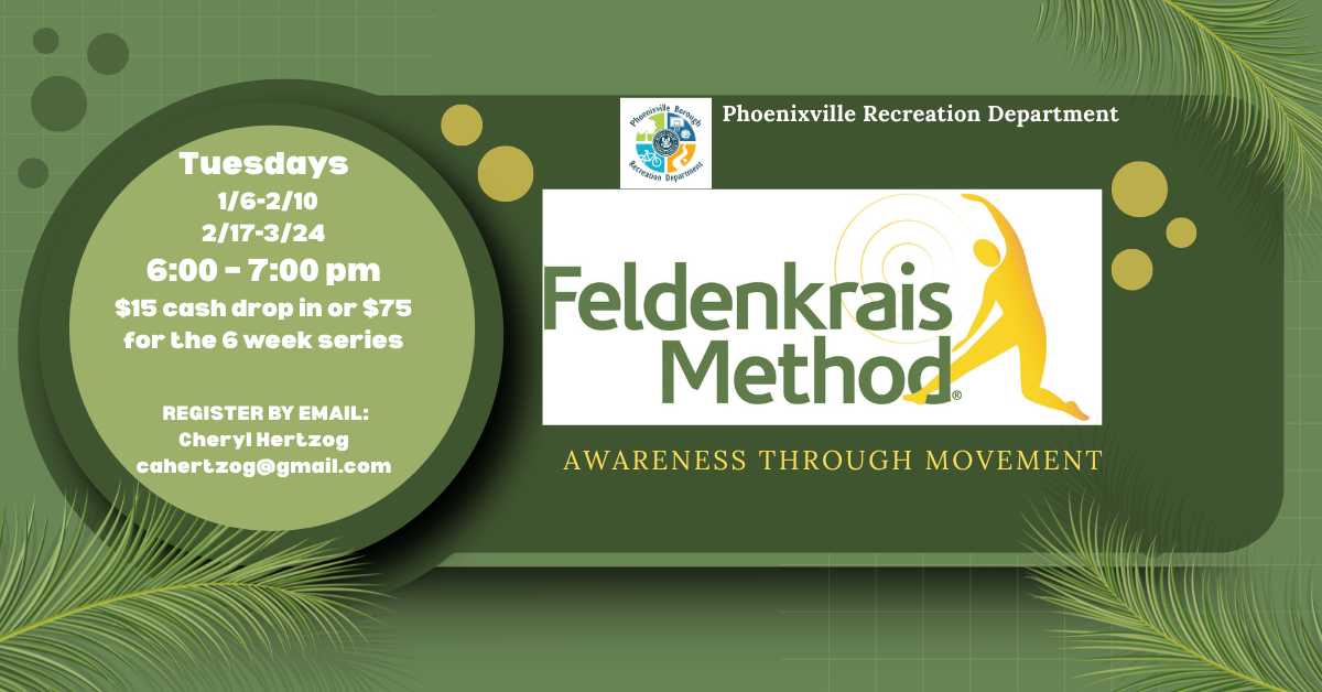 the feldenkrais method (3)