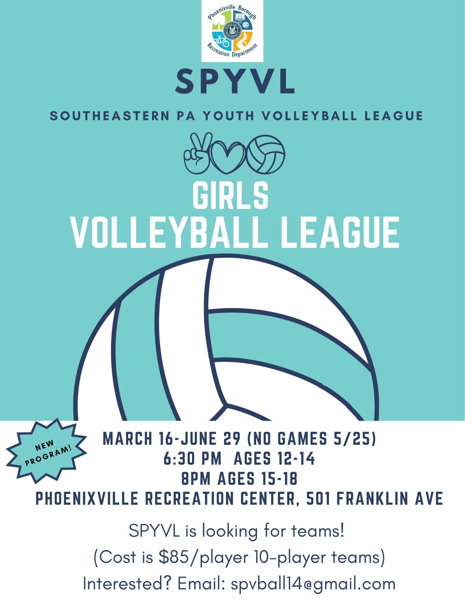 youth volleyball league (1)