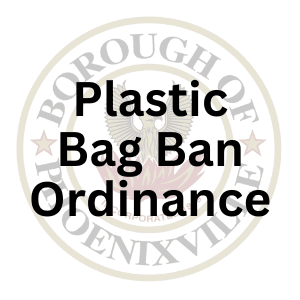 Plastic Bag Ban Ordinance