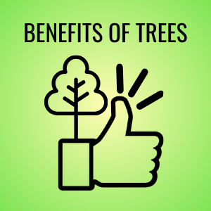 Benefits of Trees Button