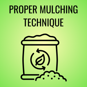 Proper Mulching Technique Button